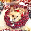 画像9: 【ポイント10倍で会員様はお得】  ALL SEASON 猫カドラーパンプキン マット付き (9)