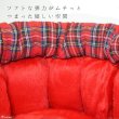 画像16: 【ポイント10倍で会員様はお得】  ALL SEASON 猫カドラーパンプキン マット付き (16)