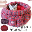 画像1: 【ポイント10倍で会員様はお得】  ALL SEASON 猫カドラーパンプキン マット付き (1)