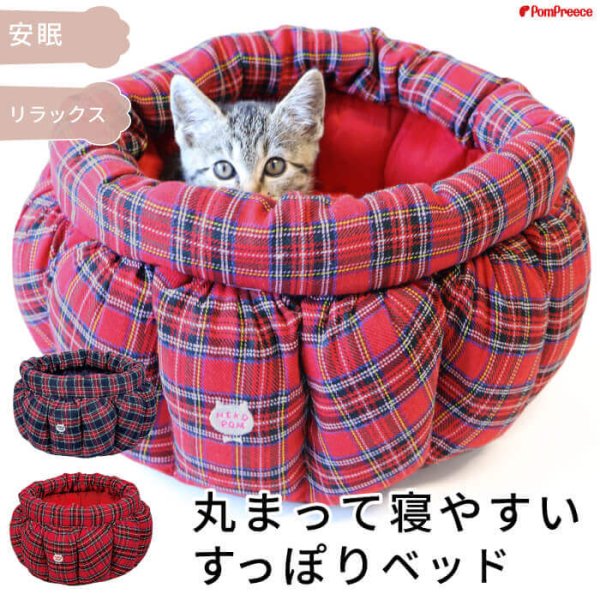 画像1: 【ポイント10倍で会員様はお得】  ALL SEASON 猫カドラーパンプキン マット付き (1)