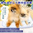 画像2: 【SALEでお得※在庫限りお早めに】30％OFF  冷えひえクールマット 【M/L/LL】 (2)