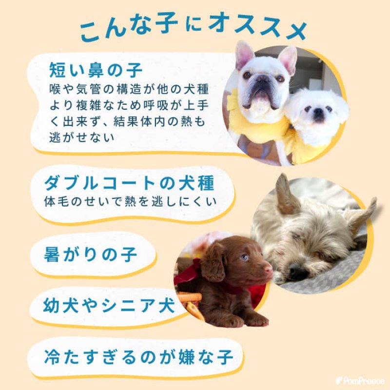 画像3: 【SALEでお得※在庫限りお早めに】 冷えひえクールマット 【M/L/LL】 (3)