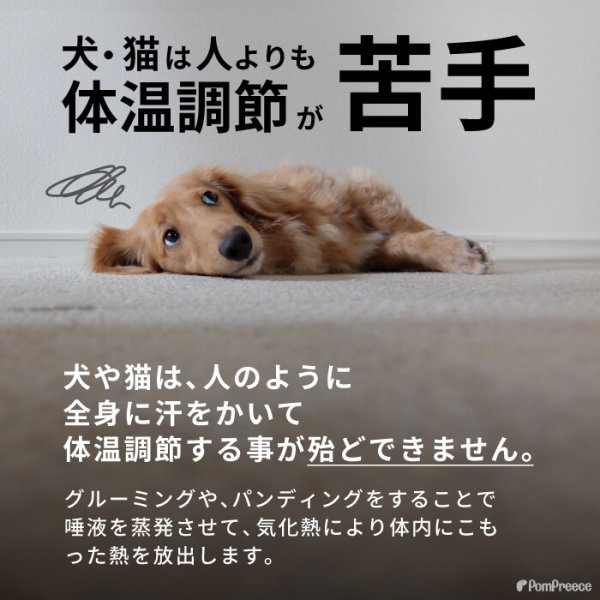 画像4: 【SALEでお得※在庫限りお早めに】30％OFF  冷えひえクールマット 【M/L/LL】 (4)