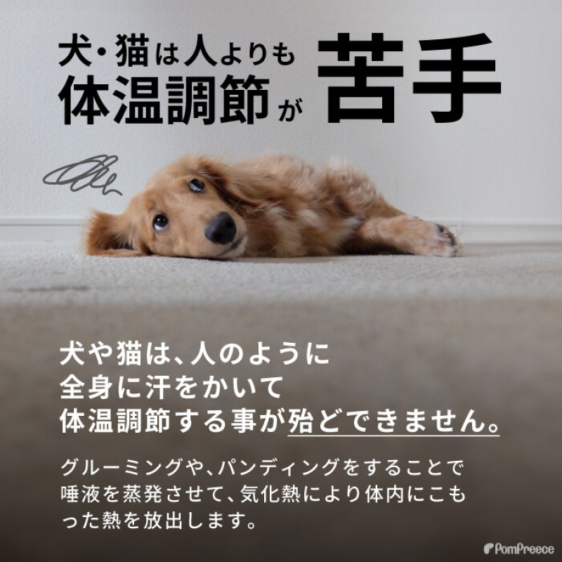 画像4: 【SALEでお得※在庫限りお早めに】 冷えひえクールマット 【M/L/LL】 (4)