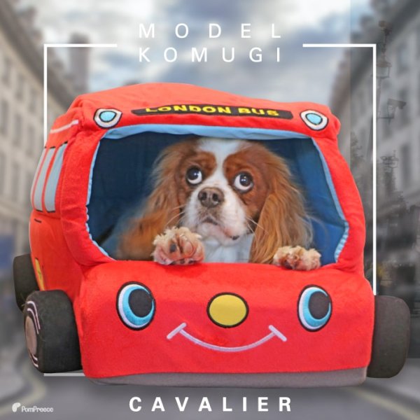 画像5: 【ポイント10倍で会員様はお得】犬猫用ベッド クッション 2WAYカドラー イングランドバス (5)