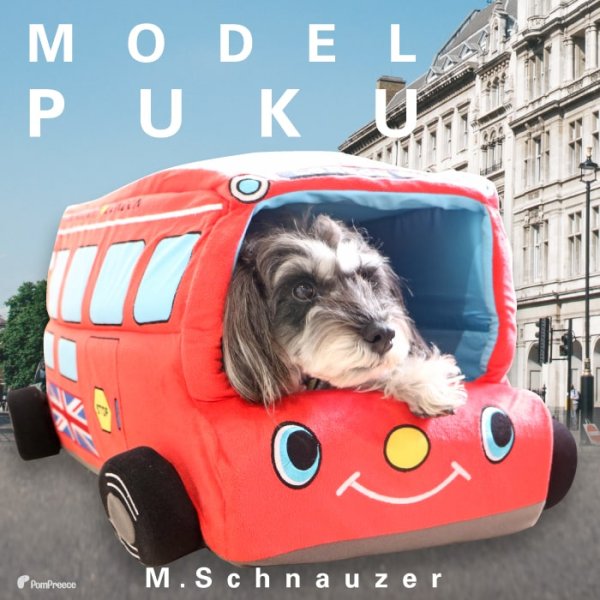 画像6: 【ポイント10倍で会員様はお得】犬猫用ベッド クッション 2WAYカドラー イングランドバス (6)