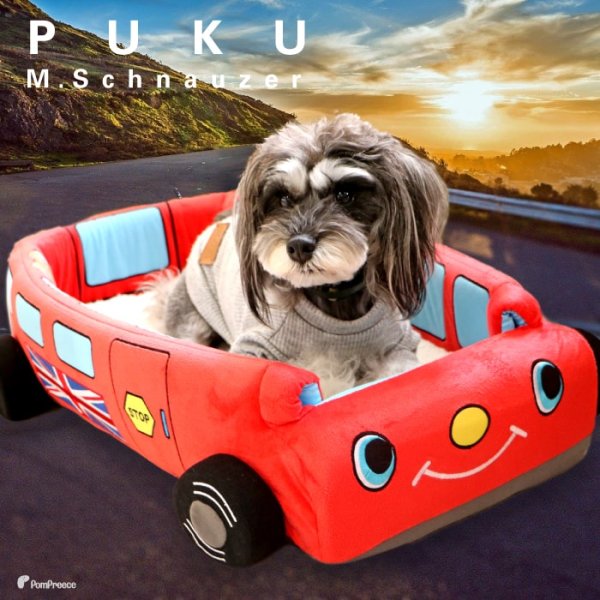 画像7: 【ポイント10倍で会員様はお得】犬猫用ベッド クッション 2WAYカドラー イングランドバス (7)