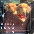 画像2: 【ポイント10倍で会員様はお得】犬猫用 自動車用車載ベッド ドライブカドラ フレンチドット〜10kgまで [ポンポリース] (2)