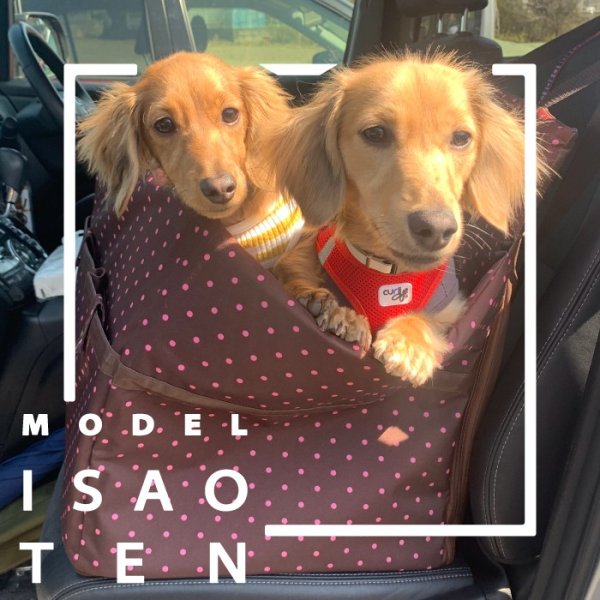 画像2: 【ポイント10倍で会員様はお得】犬猫用 自動車用車載ベッド ドライブカドラ フレンチドット〜10kgまで [ポンポリース] (2)