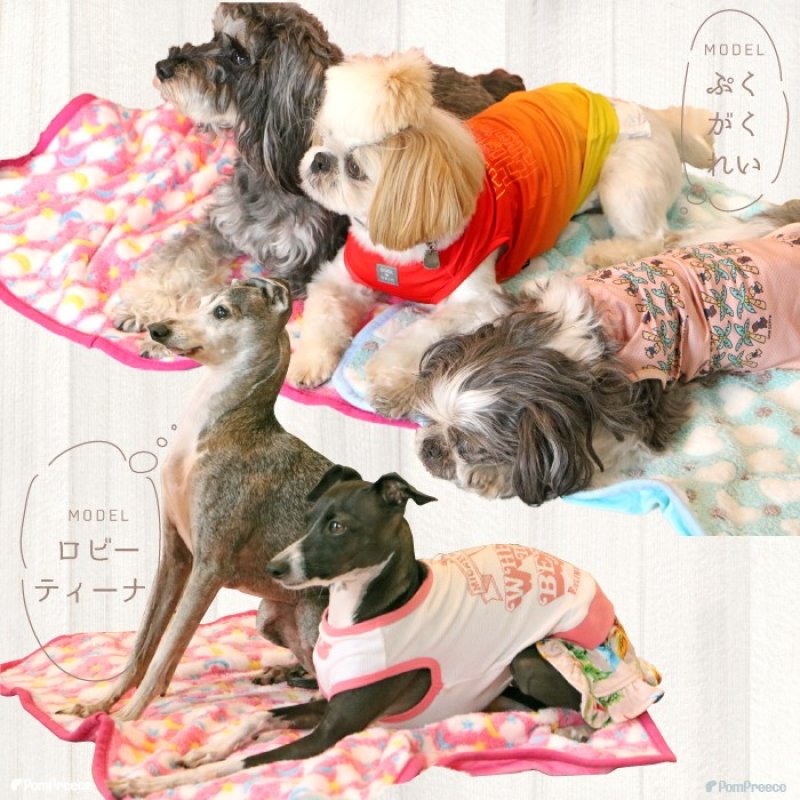 画像3: 犬猫兼用 ふわふわブランケット (3)