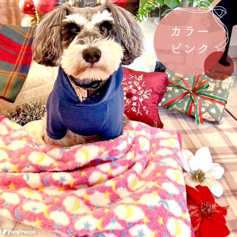 画像2: 犬猫兼用 ふわふわブランケット (2)