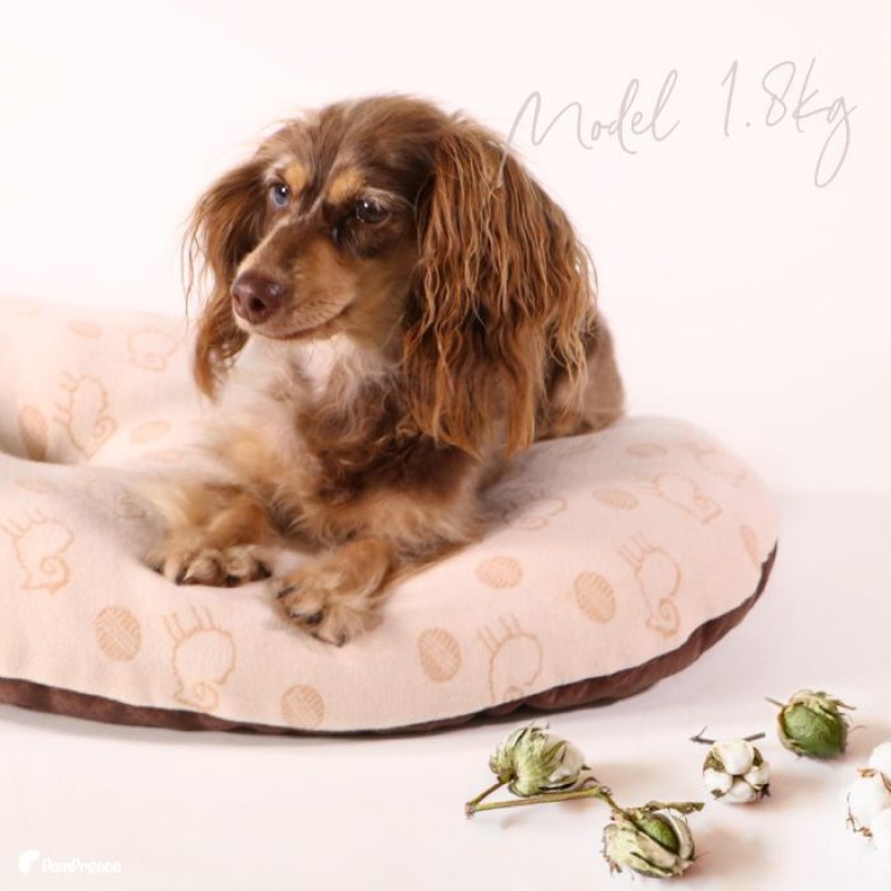 画像7: 犬猫兼用 ミニクッションマット フェアオーガニック (7)