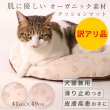 画像1: 【訳アリアウトレット品】 ミニクッションマット フェアオーガニック【Mキノコ柄のみ】※返品交換不可 (1)