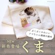 画像22: 【オーダーメイド受注生産】うちの子画像入り ブランケット フェアオーガニック ポンポリース (22)