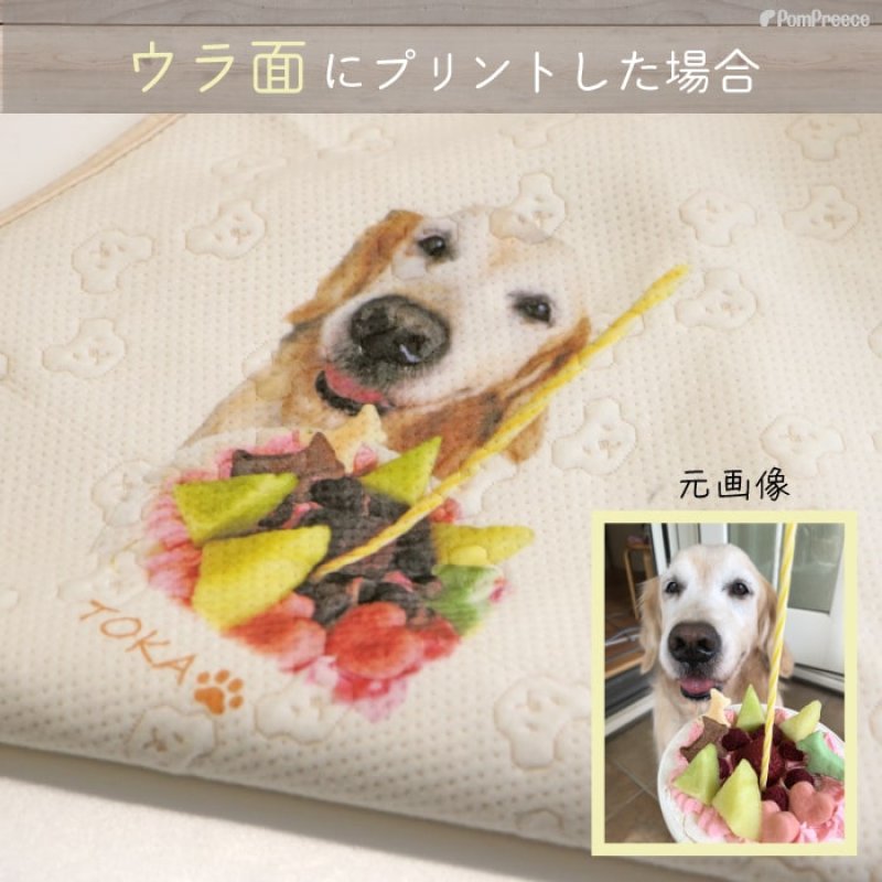 画像24: 【オーダーメイド受注生産】うちの子画像入り ブランケット フェアオーガニック (24)