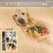 画像25: 【オーダーメイド受注生産】うちの子画像入り ブランケット フェアオーガニック ポンポリース (25)