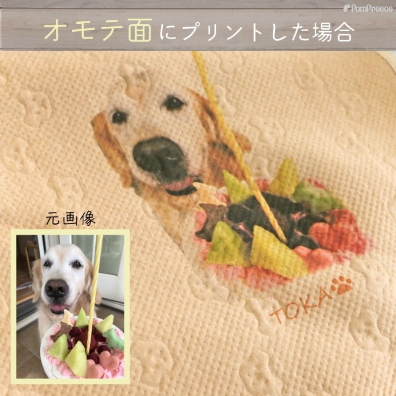 画像25: 【オーダーメイド受注生産】うちの子画像入り ブランケット フェアオーガニック (25)