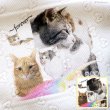 画像26: 【オーダーメイド受注生産】うちの子画像入り ブランケット フェアオーガニック ポンポリース (26)