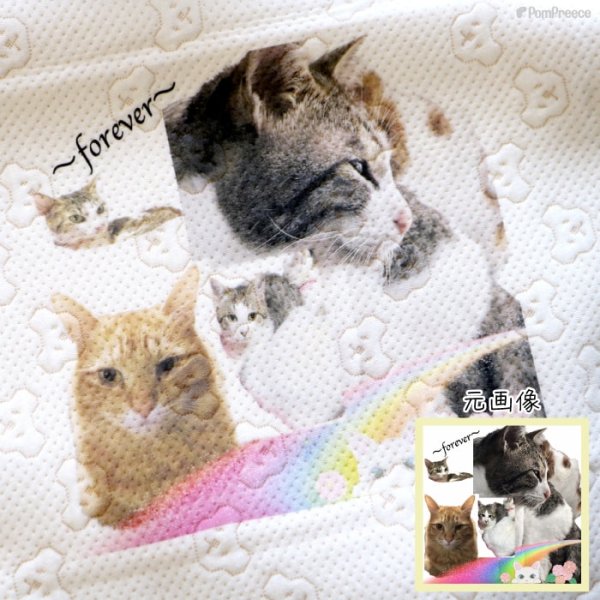 画像26: 【オーダーメイド受注生産】うちの子画像入り ブランケット フェアオーガニック ポンポリース【12月1日〜12月25日まで迷子札プレゼント中！】 (26)