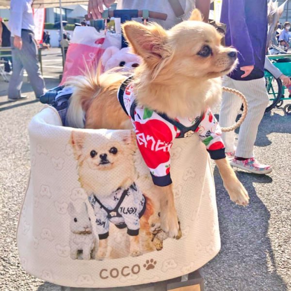 画像4: 【オーダーメイド受注生産】うちの子画像入り ブランケット フェアオーガニック ポンポリース【12月1日〜12月25日まで迷子札プレゼント中！】 (4)