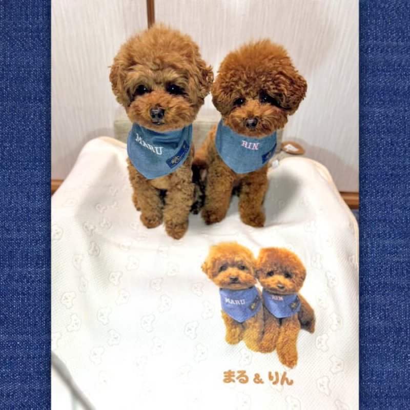 画像3: 【オーダーメイド受注生産】うちの子画像入り ブランケット フェアオーガニック (3)