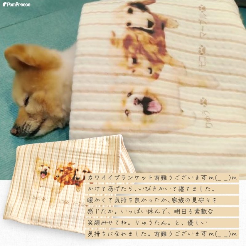画像14: 【オーダーメイド受注生産】うちの子画像入り ブランケット フェアオーガニック (14)