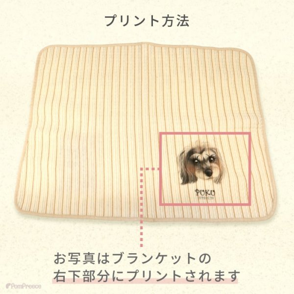 画像9: 【オーダーメイド受注生産】うちの子画像入り ブランケット フェアオーガニック ポンポリース【12月1日〜12月25日まで迷子札プレゼント中！】 (9)