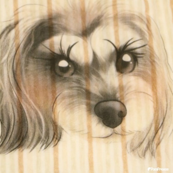 画像13: 【オーダーメイド受注生産】うちの子画像入り ブランケット フェアオーガニック ポンポリース【12月1日〜12月25日まで迷子札プレゼント中！】 (13)