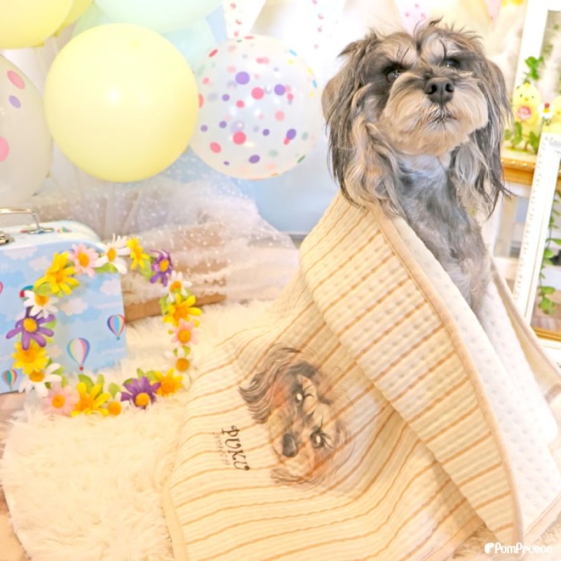 画像18: 【オーダーメイド受注生産】うちの子画像入り ブランケット フェアオーガニック (18)