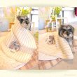 画像20: 【オーダーメイド受注生産】うちの子画像入り ブランケット フェアオーガニック ポンポリース (20)
