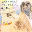 画像1: 【オーダーメイド受注生産】うちの子画像入り ブランケット フェアオーガニック ポンポリース (1)