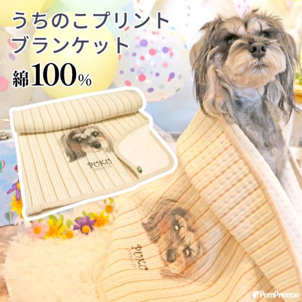 画像1: 【オーダーメイド受注生産】うちの子画像入り ブランケット フェアオーガニック ポンポリース (1)