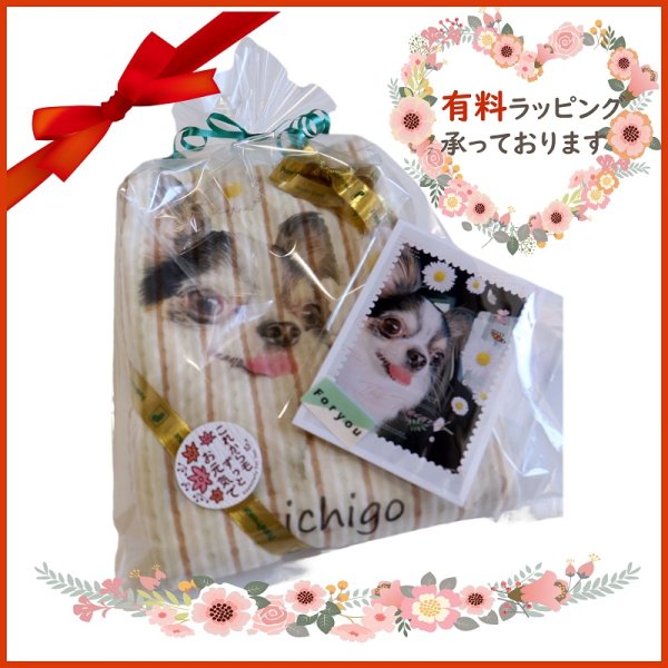 画像27: 【オーダーメイド受注生産】うちの子画像入り ブランケット フェアオーガニック ポンポリース【12月1日〜12月25日まで迷子札プレゼント中！】 (27)