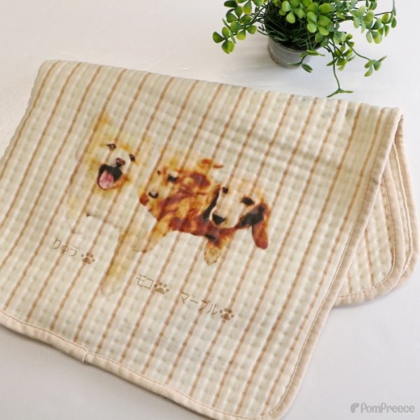 画像17: 【オーダーメイド受注生産】うちの子画像入り ブランケット フェアオーガニック ポンポリース【12月1日〜12月25日まで迷子札プレゼント中！】 (17)