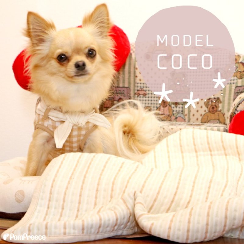 画像3: 犬猫兼用 ブランケット フェアオーガニック (3)