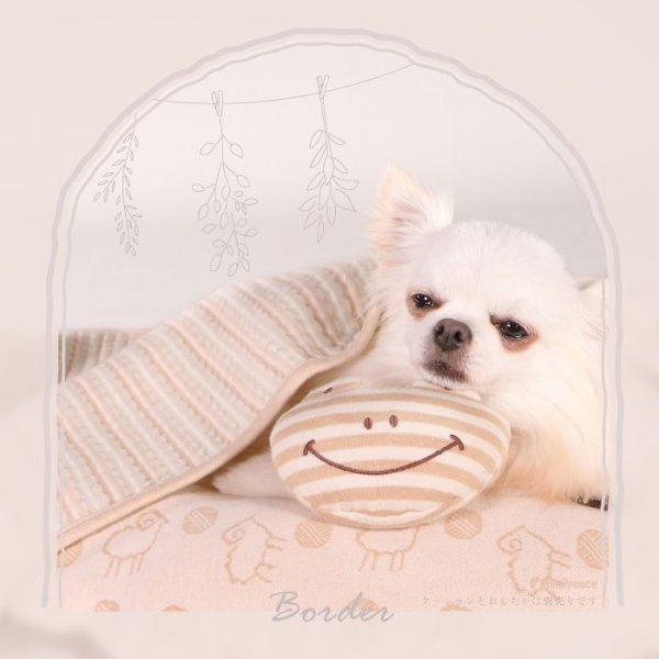 画像7: 【ポイント10倍で会員様はお得】 ブランケット フェアオーガニック (7)