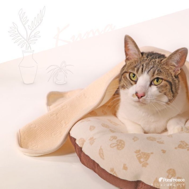 画像9: 犬猫兼用 ブランケット フェアオーガニック (9)