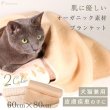 画像1: 【ポイント10倍で会員様はお得】 ブランケット フェアオーガニック (1)