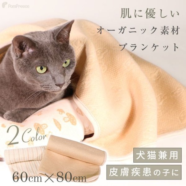 画像1: 【ポイント10倍で会員様はお得】 ブランケット フェアオーガニック (1)