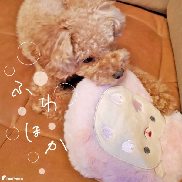 画像17: 【在庫処分セール品】繰り返し使える 簡単加熱の犬猫用湯たんぽ ハリネズミ 【M・L】ふんわりと暖かく寒い冬も安心 有害なエチレングリコール不使用 加熱材本体は日本製なので安心※返品交換不可商品 (17)