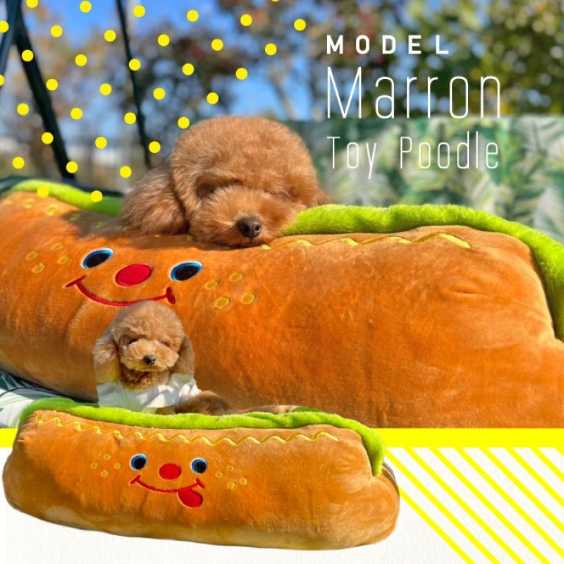 画像5: 犬猫兼用 ベッド キャラクター カドラー ホットドッグ　【S〜L】 (5)