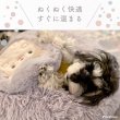 画像10: 【ポイント10倍で会員様はお得】 繰り返し使える 簡単加熱の犬猫用湯たんぽ ハリネズミ 【M・L】ふんわりと暖かく寒い冬も安心 有害なエチレングリコール不使用 加熱材本体は日本製なので安心 (10)