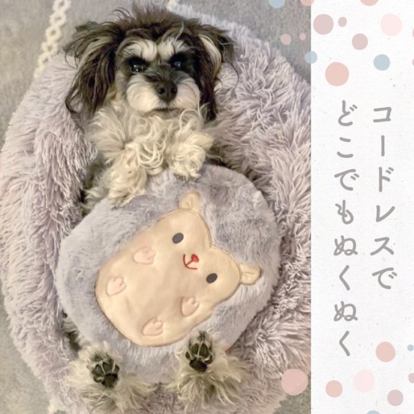 画像11: 【在庫処分セール品】繰り返し使える 簡単加熱の犬猫用湯たんぽ ハリネズミ 【M・L】ふんわりと暖かく寒い冬も安心 有害なエチレングリコール不使用 加熱材本体は日本製なので安心※返品交換不可商品 (11)