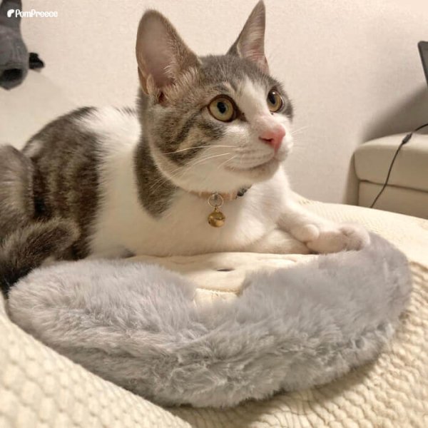 画像4: 【在庫処分セール品】繰り返し使える 簡単加熱の犬猫用湯たんぽ ハリネズミ 【M・L】ふんわりと暖かく寒い冬も安心 有害なエチレングリコール不使用 加熱材本体は日本製なので安心※返品交換不可商品 (4)