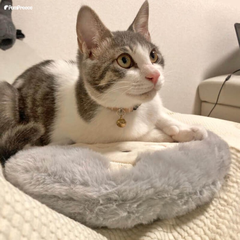 画像4: 【在庫処分セール品】繰り返し使える 簡単加熱の犬猫用湯たんぽ ハリネズミ 【M・L】ふんわりと暖かく寒い冬も安心 有害なエチレングリコール不使用 加熱材本体は日本製なので安心※返品交換不可商品 (4)