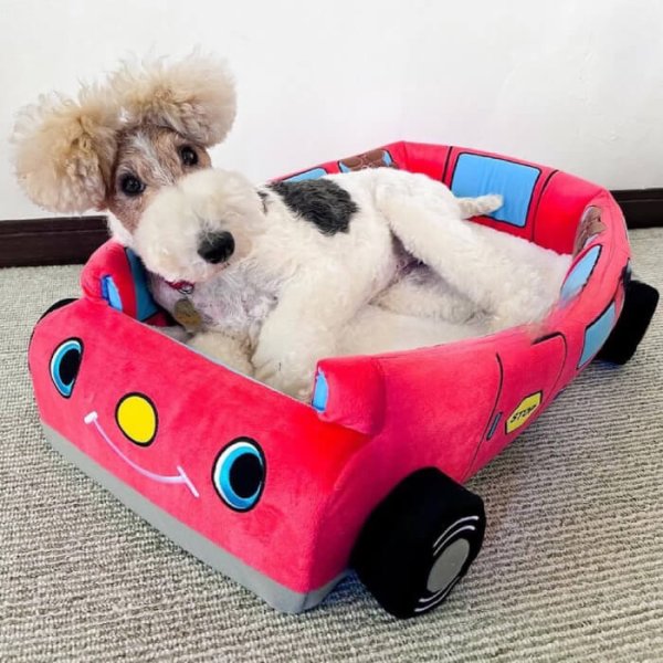 画像2: 【ポイント10倍で会員様はお得】犬猫用ベッド クッション 2WAYカドラー イングランドバス (2)