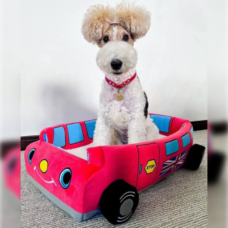 画像3: 犬猫兼用 ベッド クッション 2WAYカドラー イングランドバス (3)