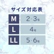 画像3: 【ポイント10倍で会員様はお得】 スーパー胴輪用 ミニ保冷剤 【LL】 (3)