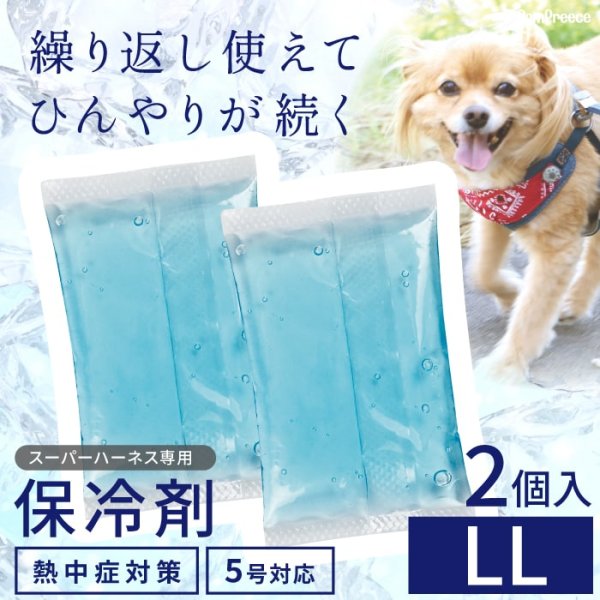 画像1: 【ポイント10倍で会員様はお得】 スーパー胴輪用 ミニ保冷剤 【LL】 (1)