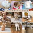 画像13: 【ポイント10倍で会員様はお得】洗って使える裏面スベリ止め加工付きペットシーツ 2カラーから選べる3枚Mサイズセット (13)